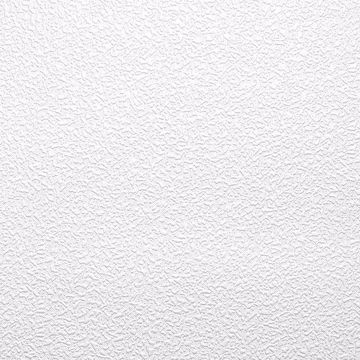 Picture of Jody Paintable Stucco Texture Wallpaper 
