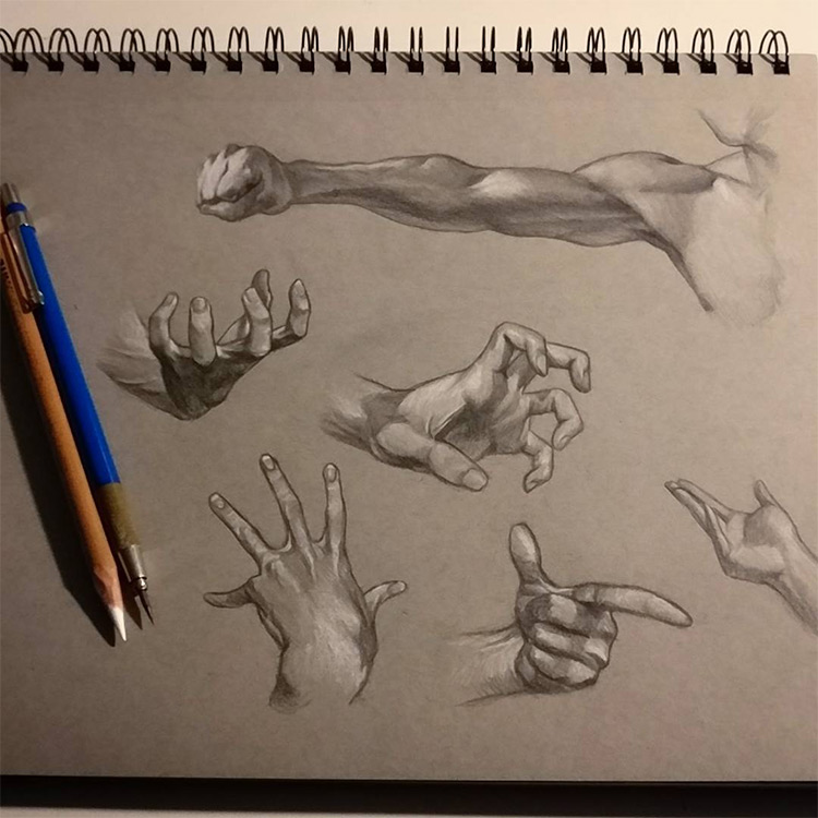 Detailed hand, finger & arm sketches