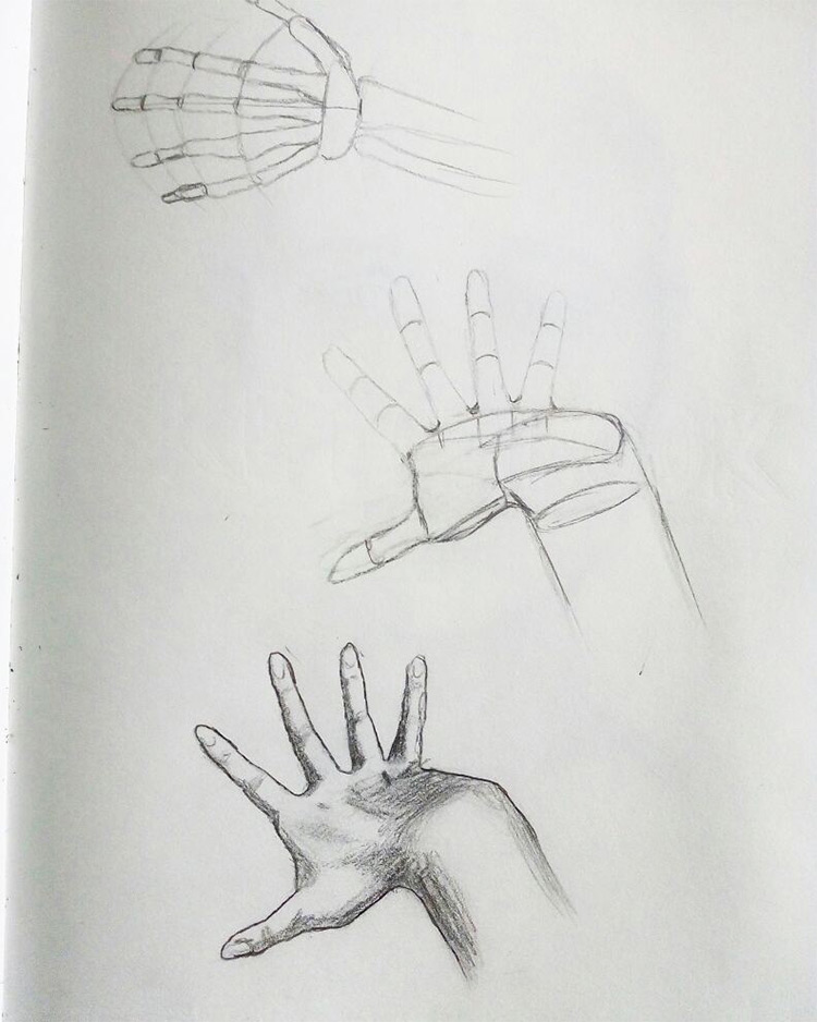 Hand bones and anatomy sketches