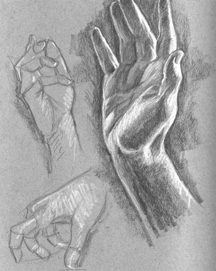Toned paper drawings of hands