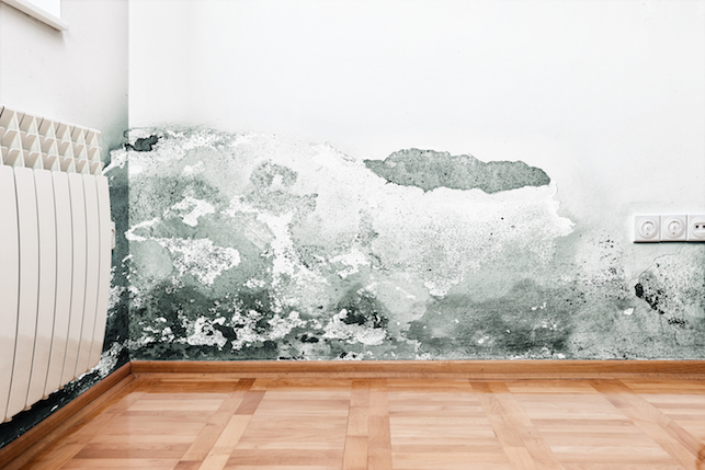 Mold and moisture buildup on wall of a modern house