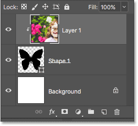 The Layers panel showing the image clipped to the Shape layer.