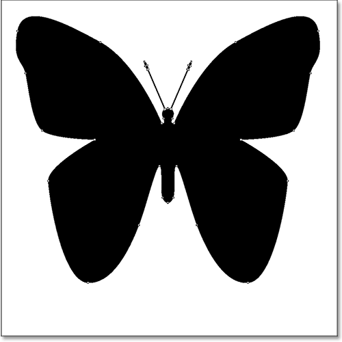 A butterfly custom shape drawn in Photoshop.