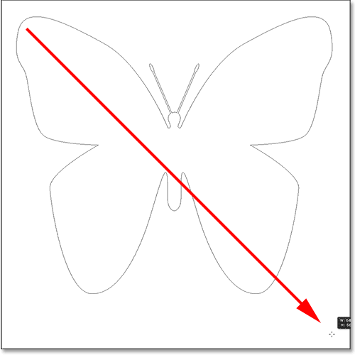 Drawing a butterfly custom shape in Photoshop