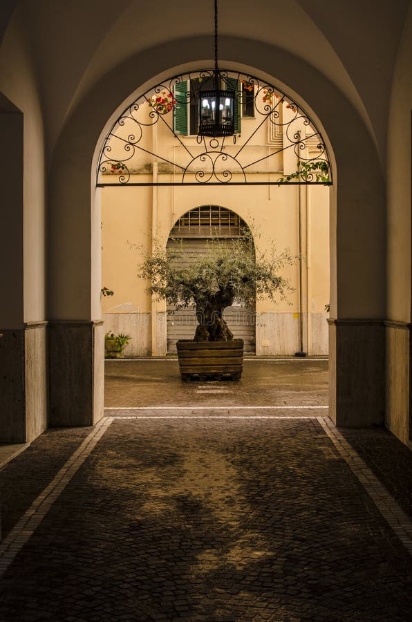 A beautiful decorative tree is in the arch in the courtyard. Of an urban house in Italy royalty free stock images