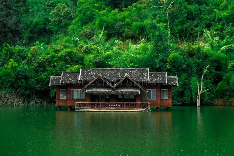 Beautiful house beside the green swamp in the nature with green trees. I. Beautiful house beside the green swamp in the nature with green trees stock images