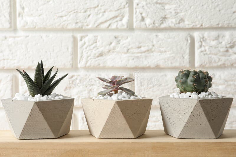 Beautiful succulent plants in stylish flowerpots on wooden table near white brick wall royalty free stock photography