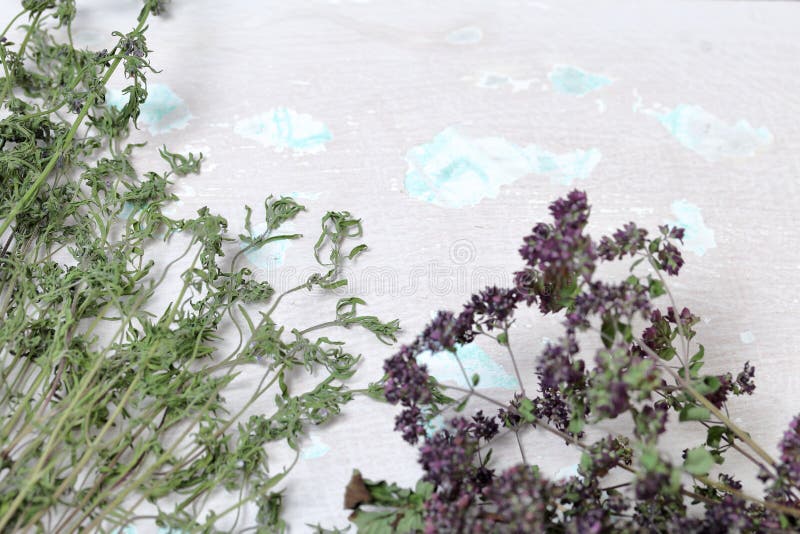 A bunch of dried grass. Thyme garden. Against the background of the old wall with peeling paint royalty free stock images