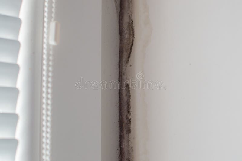 Close-up view of the dark mold on the wall near to the window. House microclimate problem. royalty free stock photo