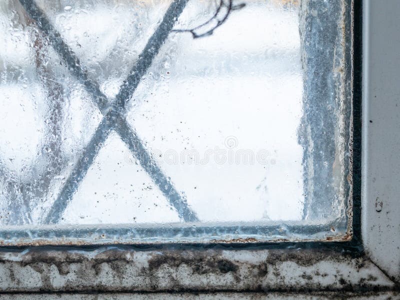 Condensate fungus mold on window royalty free stock photos