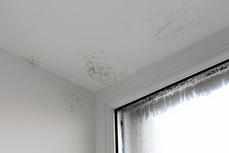 The damp is attacking the wall. mold on window. House Window With Damp And Condensation stock photography