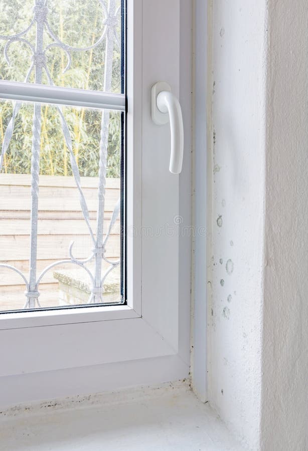 Damp Mold on Wall and Window Frame stock photos