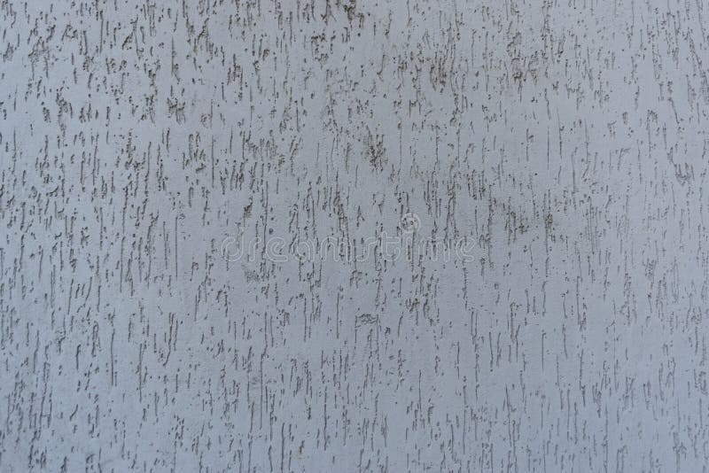 Detailed texture. White wall with stucco bark beetle, abstract background royalty free stock image