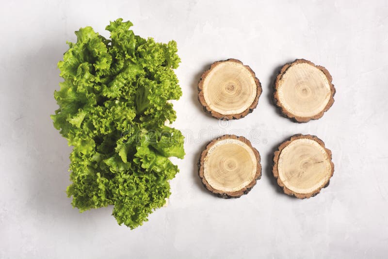 Fresh lettuce leaves in a wooden box on a gray background, wooden coasters lie next to it. Flat lay, knolling royalty free stock photos