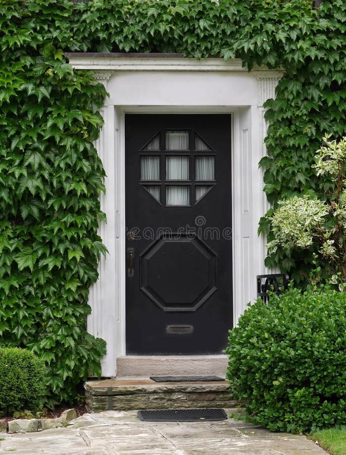 Front door with ivy. House front door surrounded by ivy stock photography