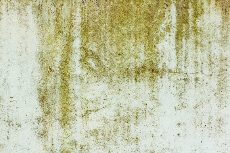 Green painted concrete wall texture with damaged and scratched surface. Abstract background royalty free stock images