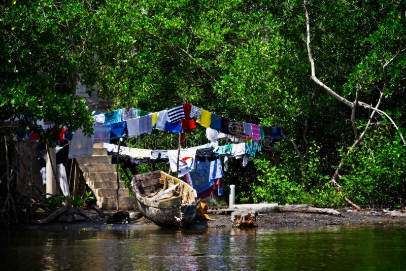 A house inside the mangrove swamp in Cartagena. Colombia stock images