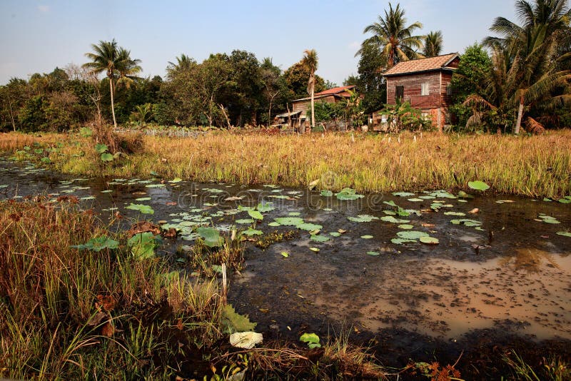 House on the Swamp. A typical Cambodian style house located on a swamp stock photo