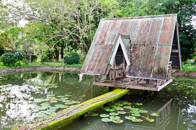 The hut over lotus swamp. In the garden royalty free stock images