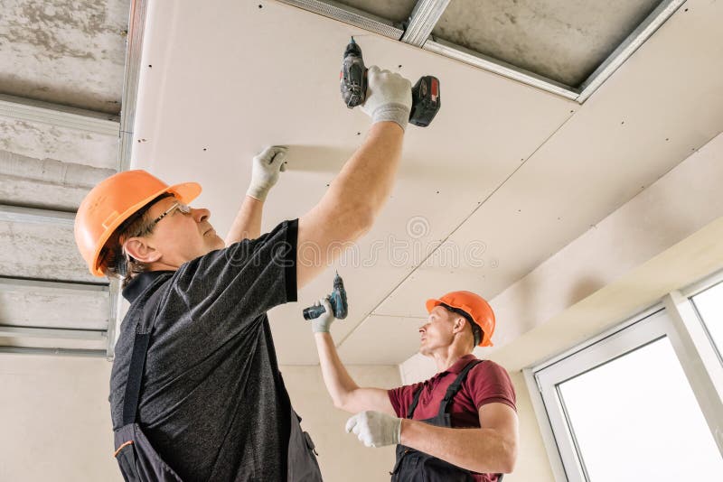 Workers are using screws and a screwdriver to attach plasterboard to the ceiling. Installation of drywall. Workers are using screws and a screwdriver to attach stock photo