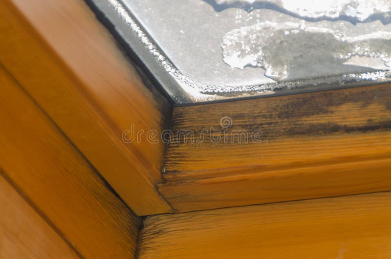 Black mold on the window frame, after the leak royalty free stock photo