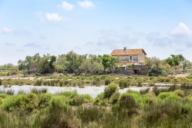 Lost house in the swamp of Provence. A lost and abandoned house in the swamp of Camargue, Provence, France royalty free stock photography