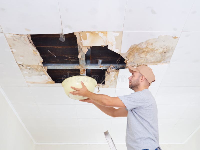 Man Collecting Water In basin From Ceiling. Ceiling panels damag royalty free stock image