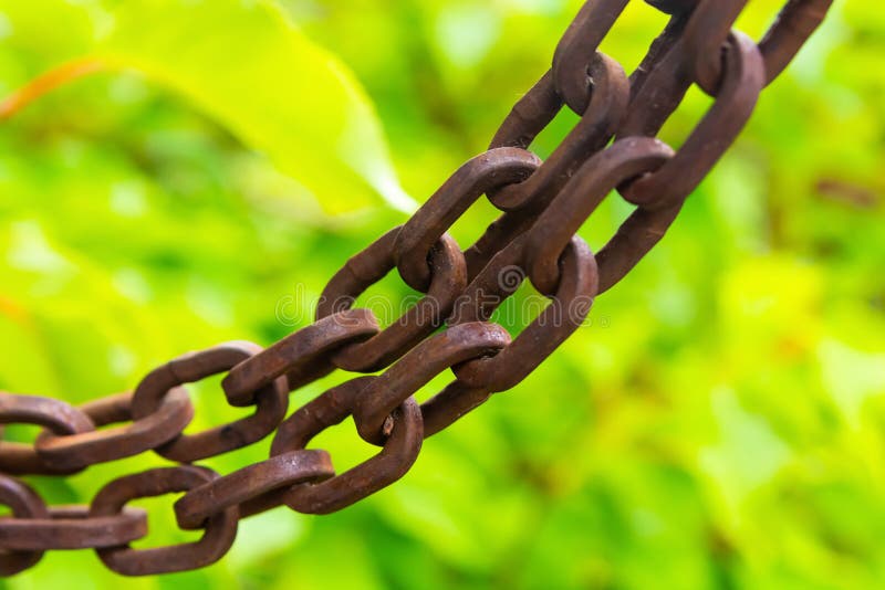 Metal chain rings brown old weathered hanging piece of chain length on a sunny green blurred background royalty free stock photo