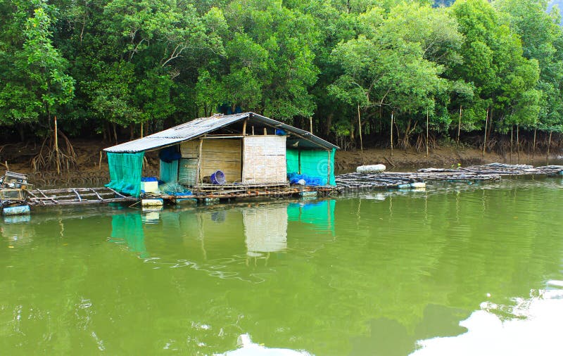 Mini house and stone mountain in the mangrove swamp. Krabi,thailand royalty free stock photography