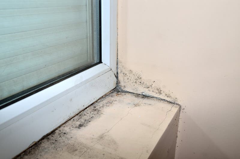 Mold below window stock image