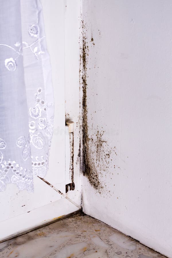 Mold on corner wall near window stock images