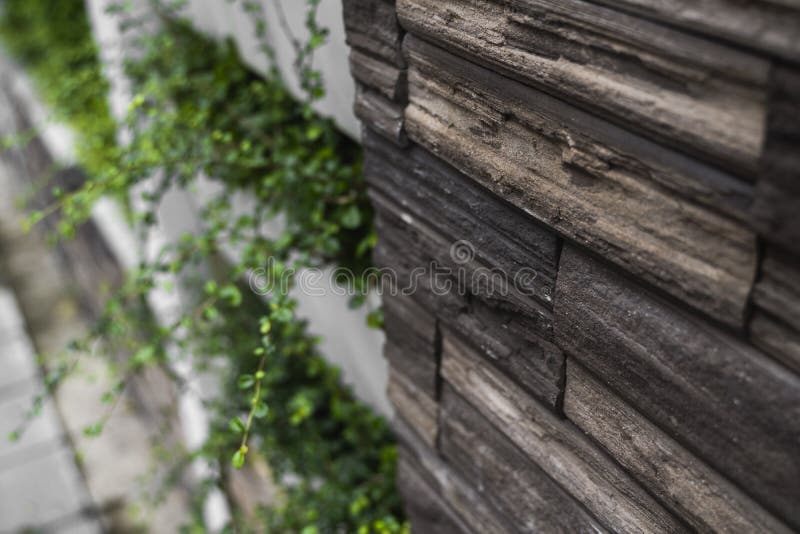 Natural stone bricks as a decoration on a wall with a green plants. Natural stone wall texture. The walls are made of royalty free stock images