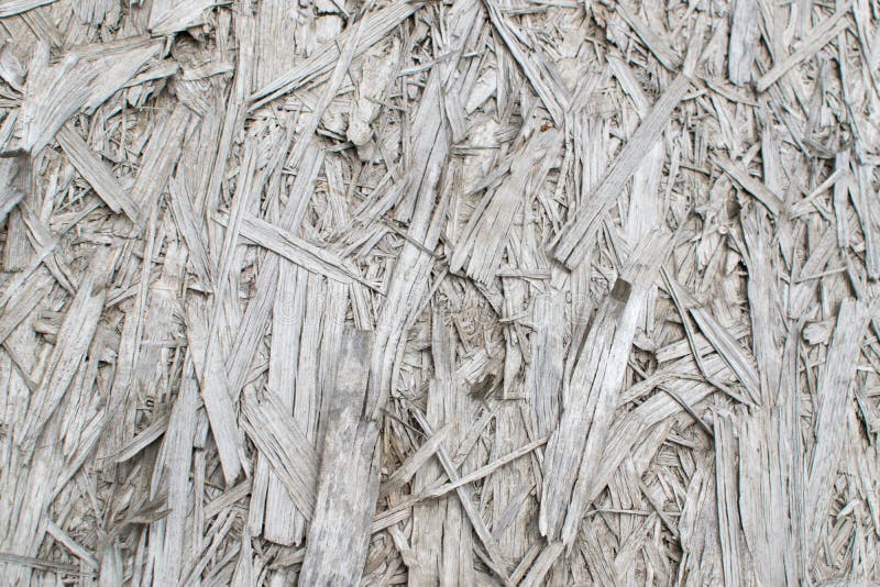 Old Grey Chipboard Osb Panel Texture. Old grey chipboard background top view. Aged osb panel texture or pressed and glued wood chips backdrop royalty free stock photo