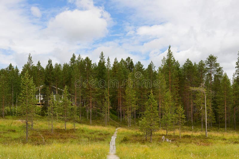 Road to house through swamp. In Finnish Lapland royalty free stock photo