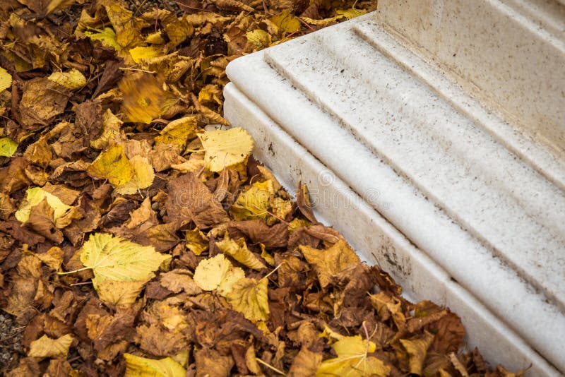 Stone plinth surrounded by yellow autumn leaves. Stone plinth surrounded by yellow autumn leaves abstract detail closeup royalty free stock image