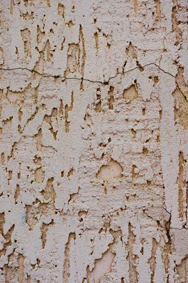 Texture of the decorative stucco wall as a background. Bark beet. Le style royalty free stock images