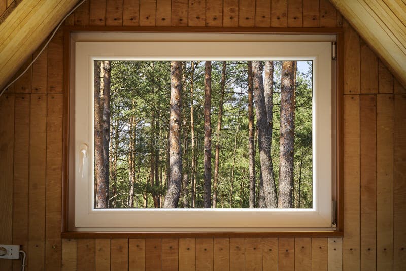 View from the window of wooden house on a sunny spring forest royalty free stock image
