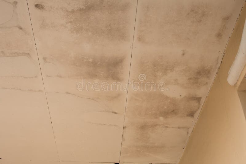 Water damaged ceiling royalty free stock images