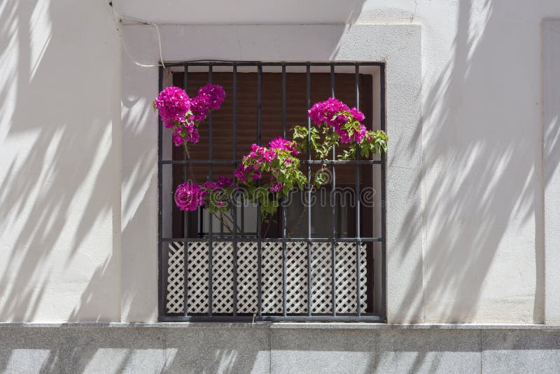 Window grate on rustic facade with flowers. Window grate on rustic facade with purple flowers royalty free stock images