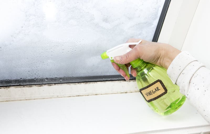 Woman hand spraying white vinegar solution natural cleaner on ugly unhealthy mold on home window. royalty free stock photo