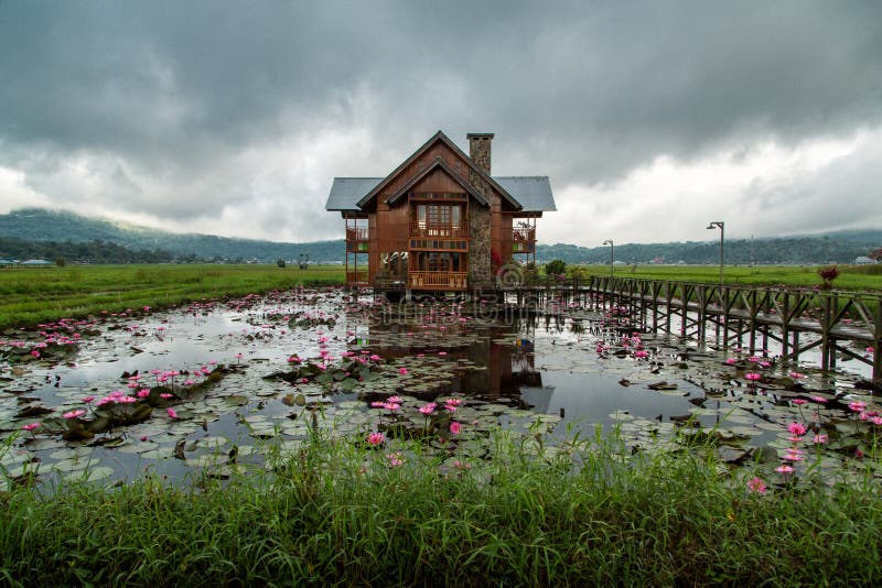 Wooden house. A house made of wood being assembled in the middle of a swamp royalty free stock images