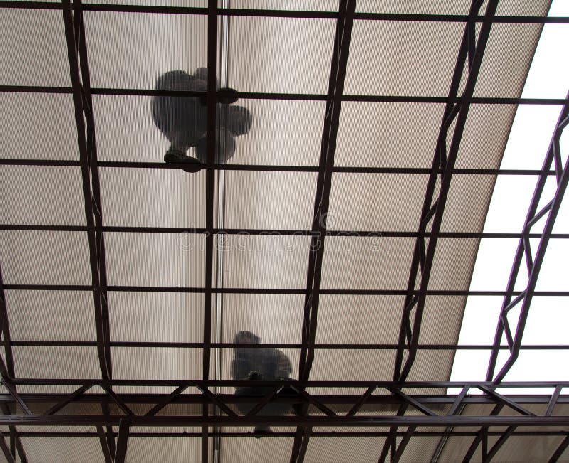 A worker mounts a metal canopy in the courtyard of the house. Silhouette man bottom view royalty free stock image